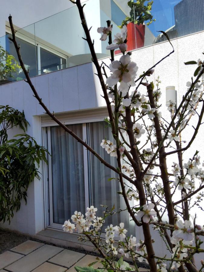 Villa Marjal Guardamar del Segura Eksteriør bilde